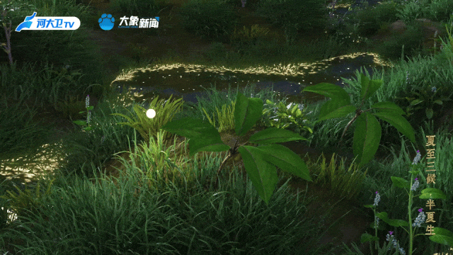 d856c2cb614a23152f397dc2bc8bbfec.gif