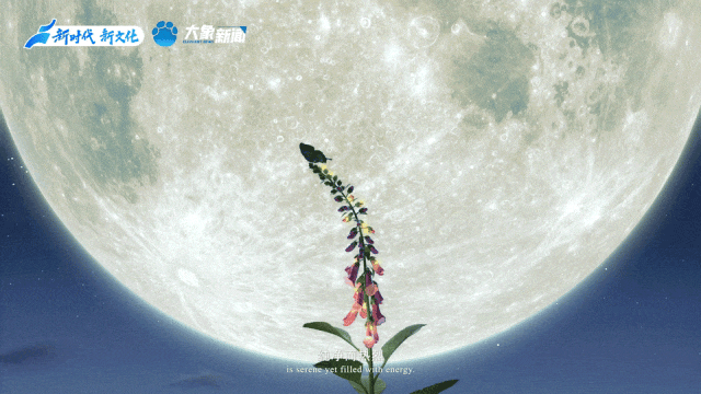 dacd3ef905bc633a65df5d9ea60bfb7d.gif