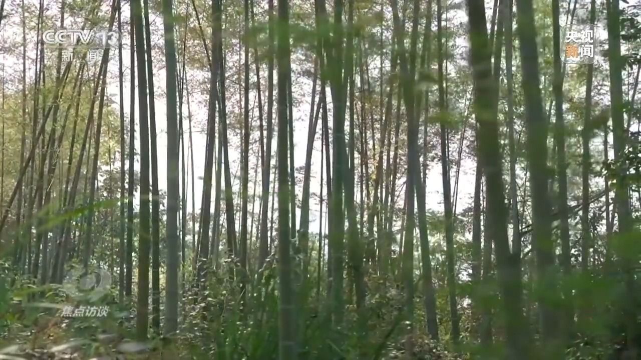 414595390e86344798f4aa894bc6d97d.jpeg