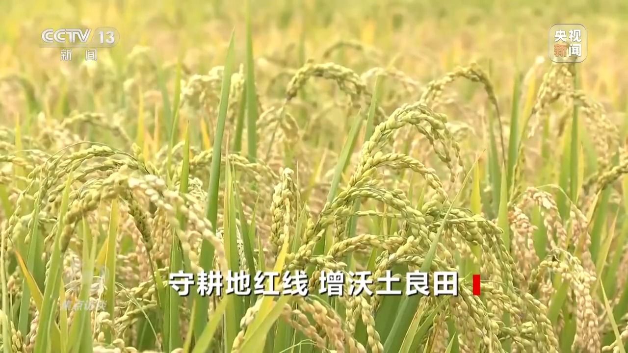5b3171fa29cc34cdaf508f22cb600aec.jpeg