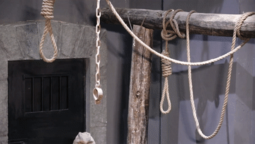 fb233d11a653217f705c0cd44ad65fd5.gif