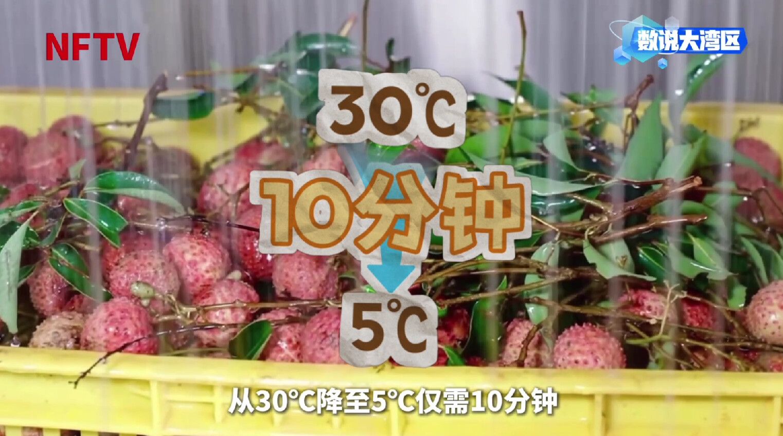0fadfe7d479cc01fd0200f6a996d2746.jpeg
