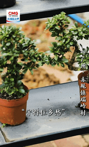 610184900dc639e229d30861effee789.gif