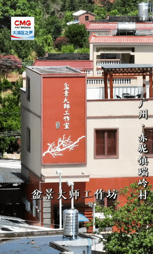 b7c88948559c6e826592ff7aac110312.gif