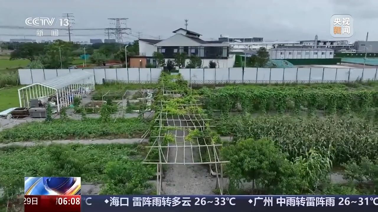 03631adb870d0de005cfbdd98aa197db.jpeg