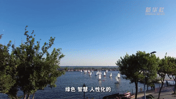1ea27f91268d6afc00bda9bc2b1b3426.gif