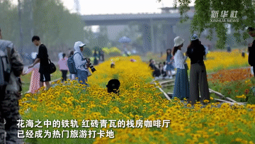 917fcf6360dca2d8d18e79ce051d8325.gif