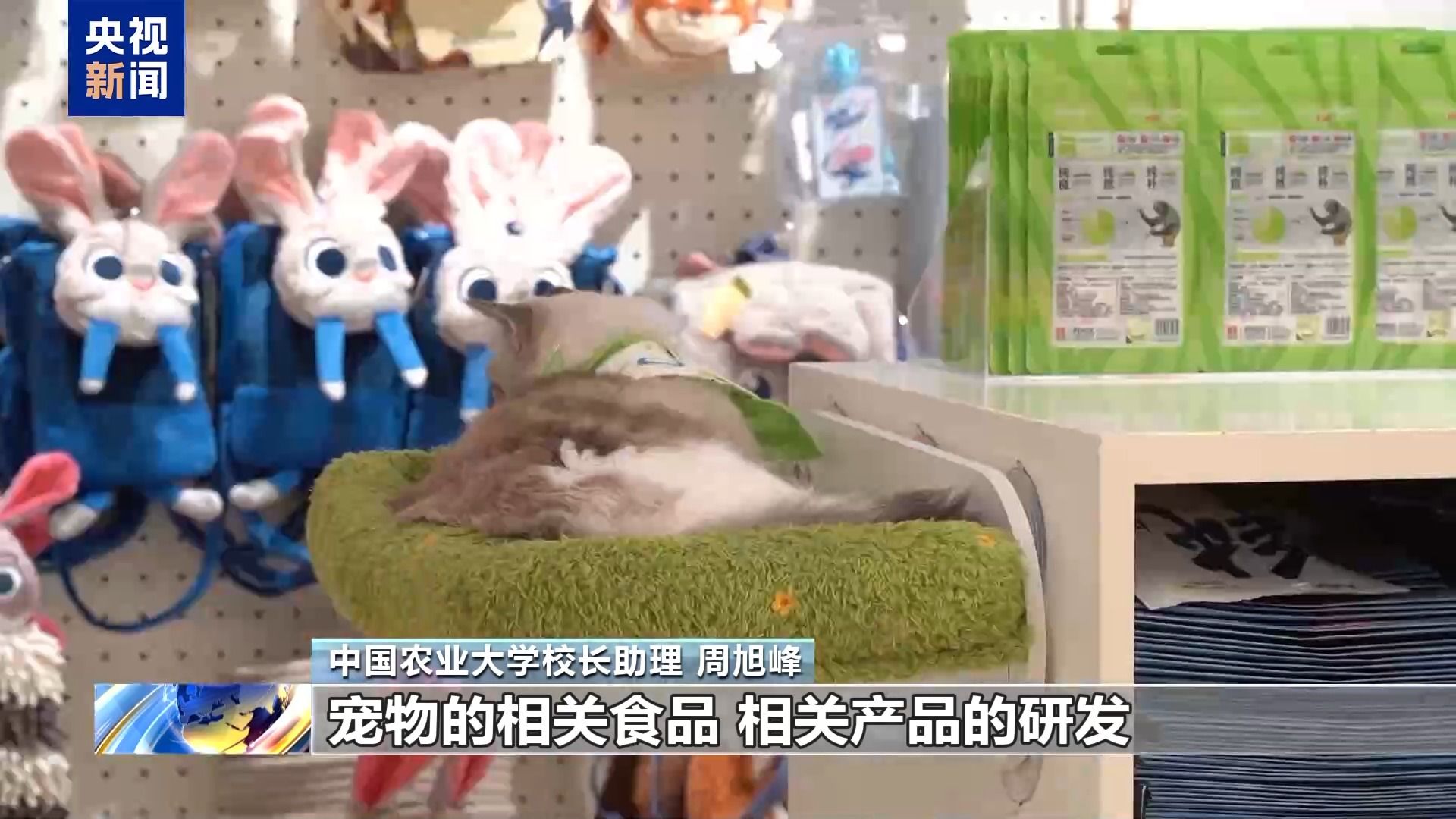 bdac9339053102f338cade6a34340683.jpeg