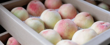 1fb5b0d9080e817f6cecace45c80fb88.gif