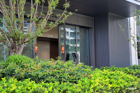 bedb9e2582cf3a7eca0247ea4b2f30e8.png
