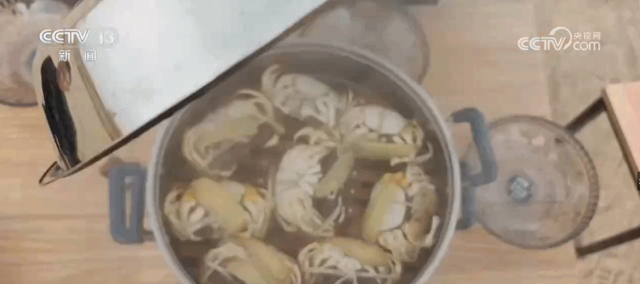 f0dafd64d731919c7d0966a6099476fd.gif
