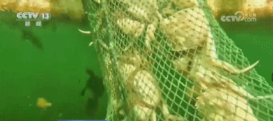 8203b71018e4cef568e5a1f549676486.gif
