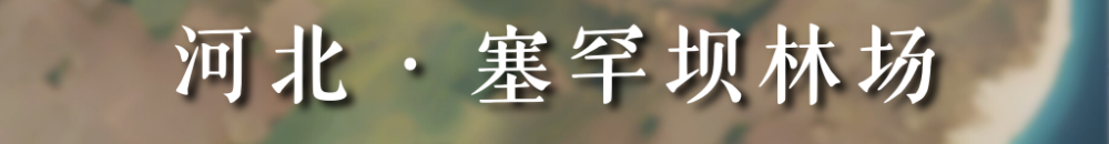 d65a51cadfde82a098ab5f60815b68e7.png