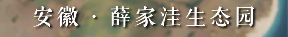 fa4fc6f0b01076056f9d1907ca0e5d36.png