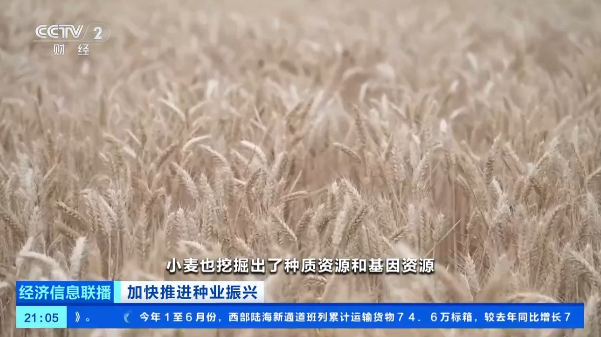 41cac88e0afa9a5202f5737dd7ed0200.png