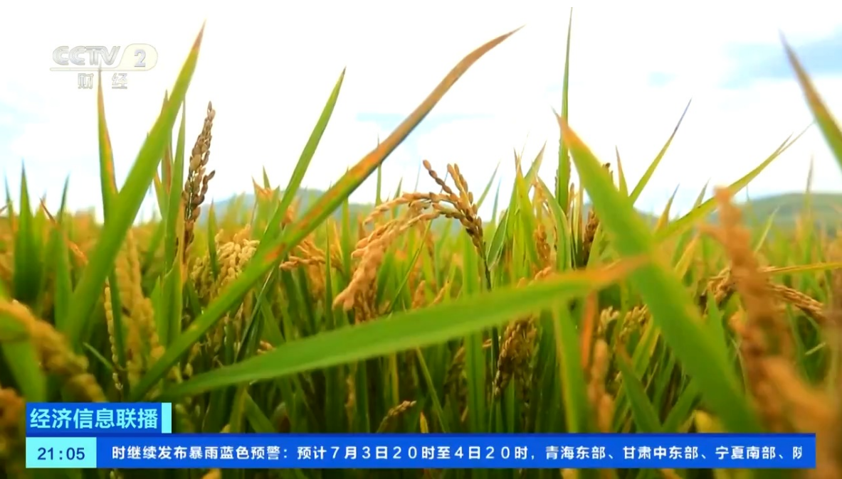 c3cb09f0126568cf493010fd0b6cfa9f.png