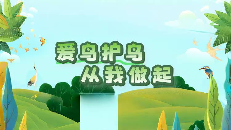 爱鸟护鸟 从我做起