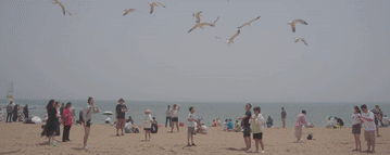 23bd8d9e2b7d940dbfc44a0224506940.gif