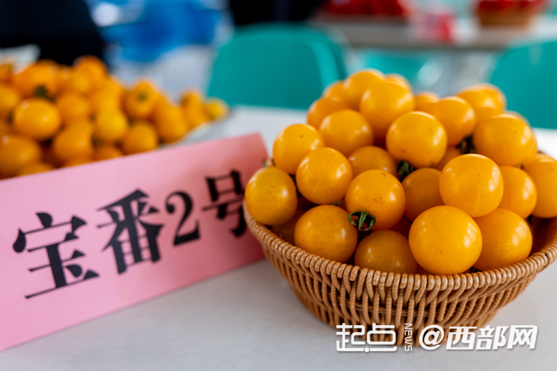 5201dd87f07735e1c4669533abcbf2aa.png