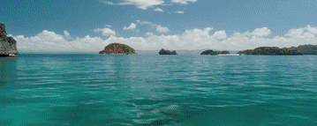 e4b06c6ae89acf14340d79a409009459.gif