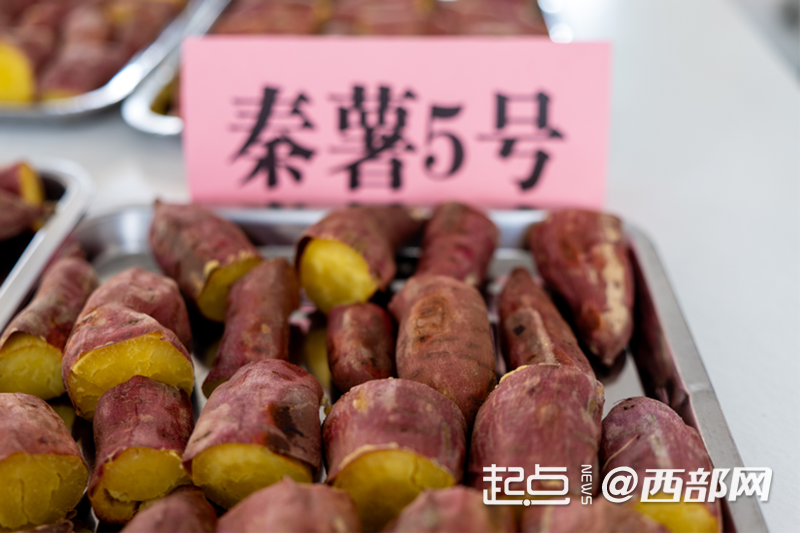 f709a01816b77f4155a89ece66b4f57e.png