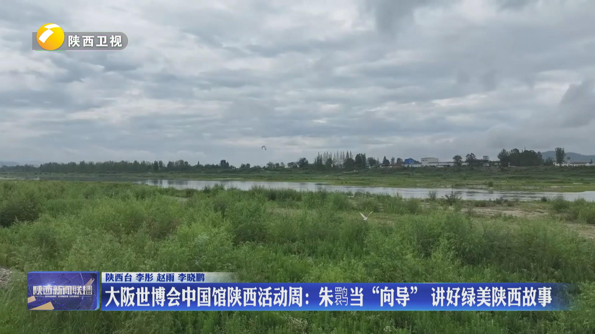大阪世博会中国馆陕西活动周：朱鹮当“向导” 讲好绿美陕西故事