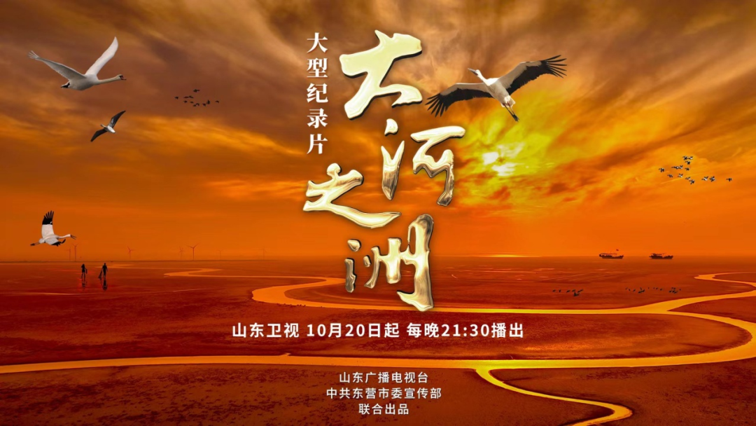 ec8e045546f44619b19d908feda7f857.png