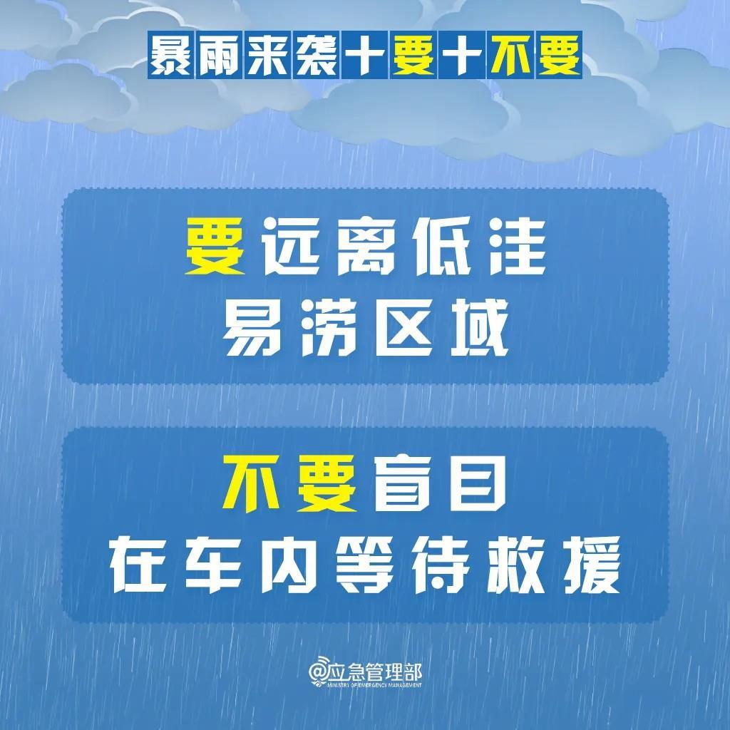 aa14861c082082263fb442cbf91b5269.jpeg