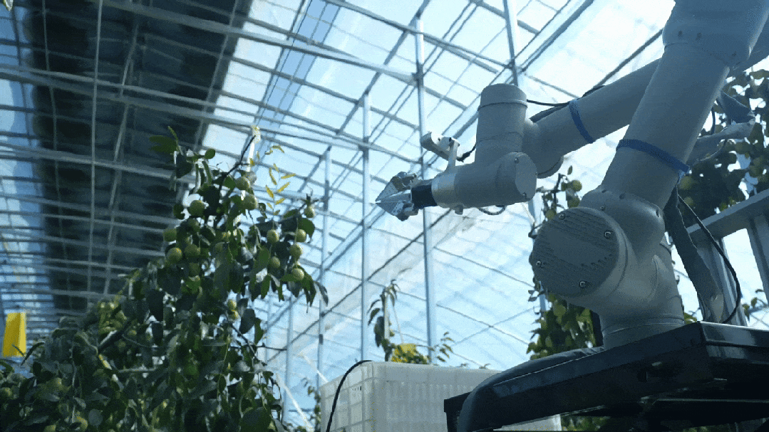 IMG_8887.GIF
