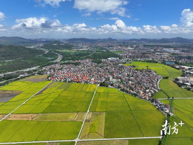 崖口村。