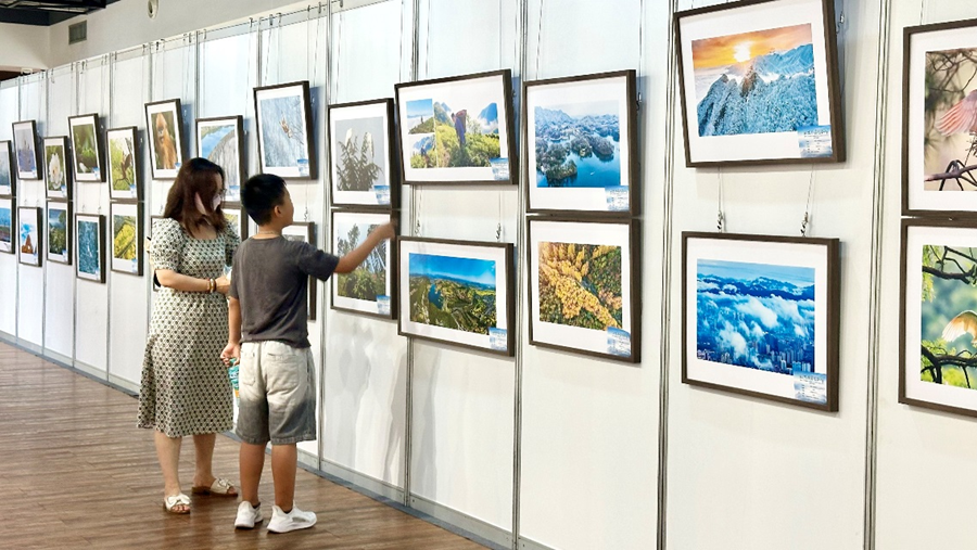 笔墨光影间定格秦岭生态之美 “让世界看见秦岭”优秀作品展西安开展