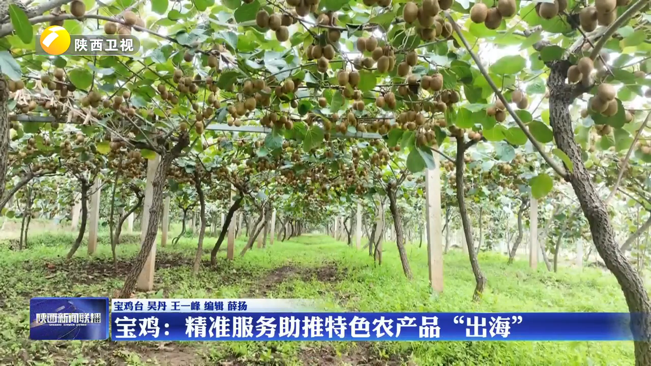 陕西宝鸡：精准服务助推特色农产品“出海”