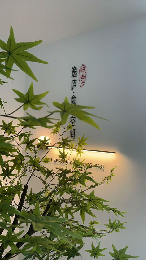 墨韵新生  生命之美