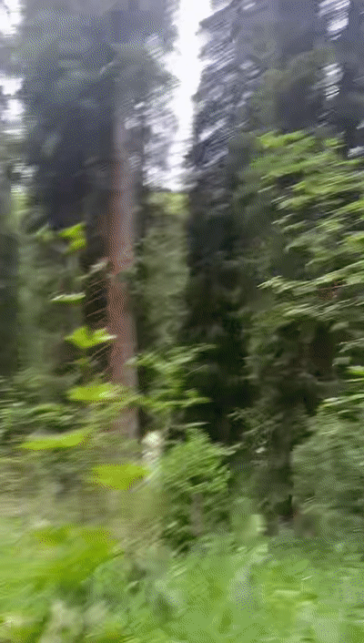 43d356dedf2568eb61c16a89b7f3a1ae.gif