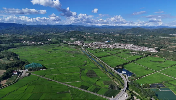 汉中洋县：招商引资绘就高质量发展新图景