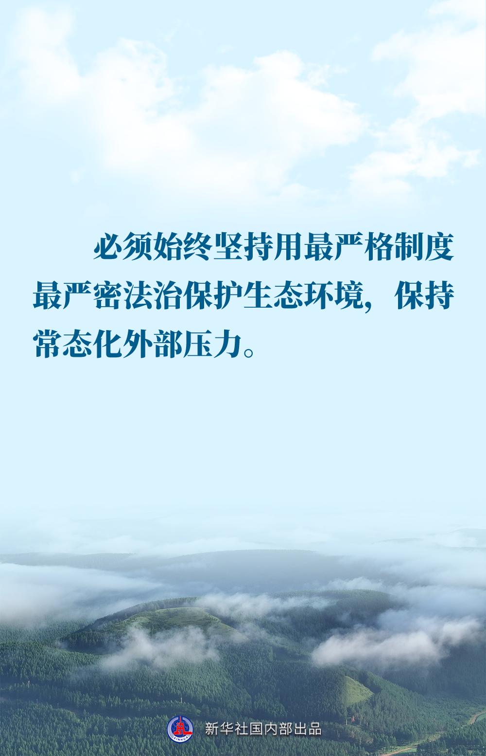 b6650039106fd2d16bf4534845fd8ca4.jpeg