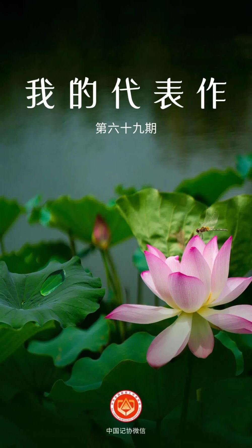 728e4d36ac56a04f75753631a65cc3fc.jpeg