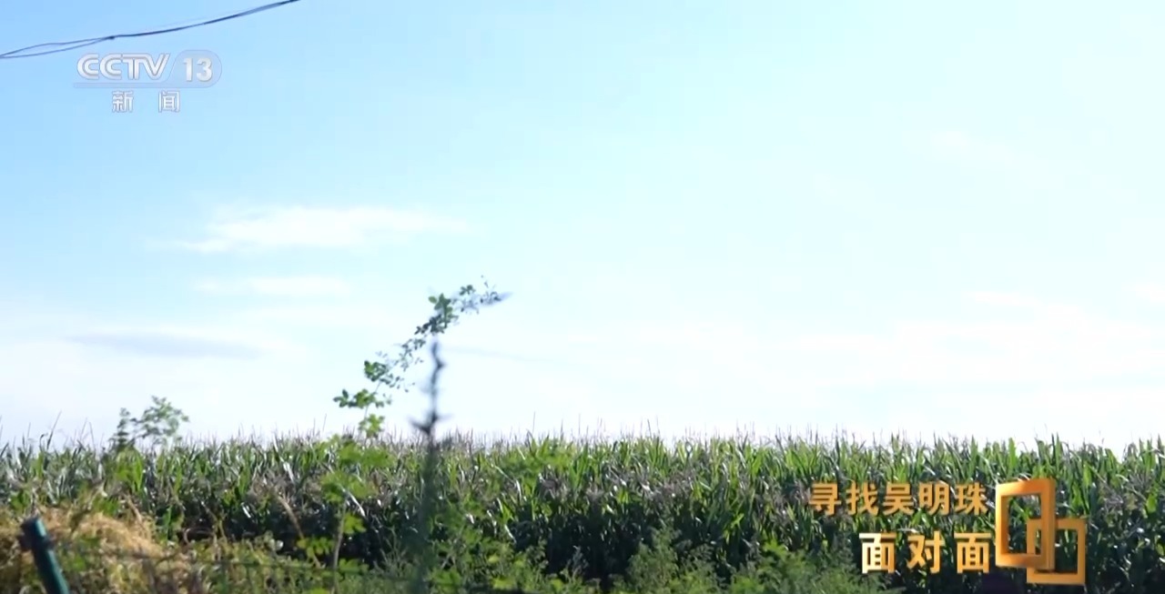 98477d7590da46e3334c7fd6acdf2a0c.jpeg