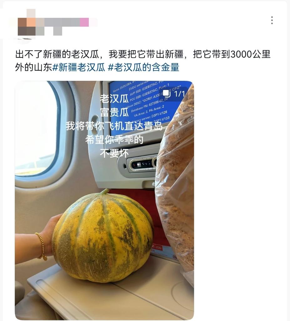 d2617903f330df640ca9aa7002c6ab90.jpeg