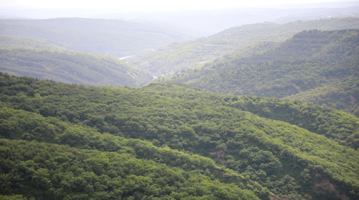 b6537ab8d0986331b78e81562f99f342.png
