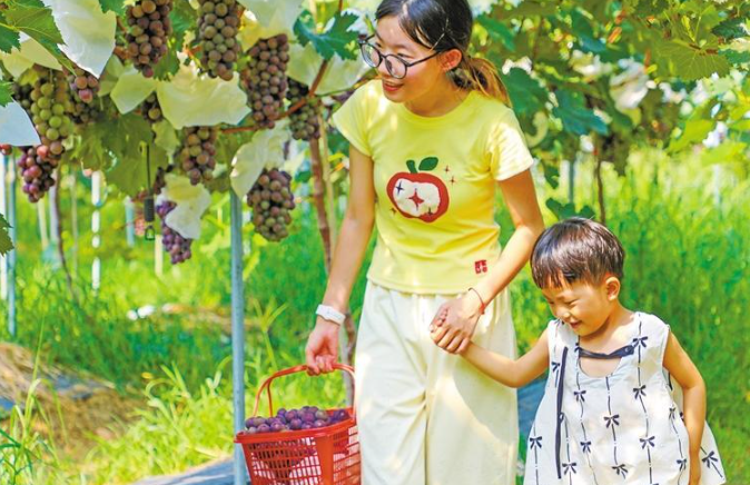 甜蜜果业富农兴村