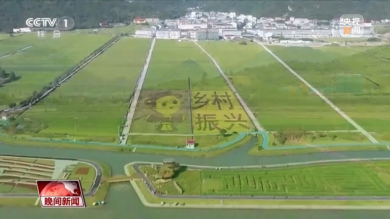 6501bcf749f75220710a00e2c864573a.jpeg