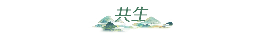 ca30b5137eeab150da838b1fb163368e.png