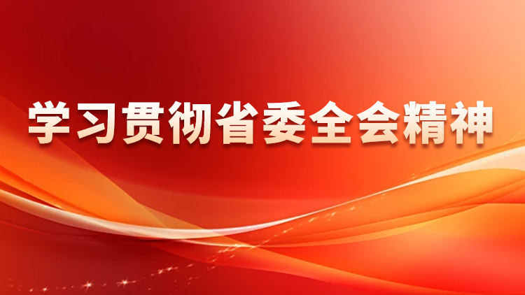 学习贯彻省委全会精神