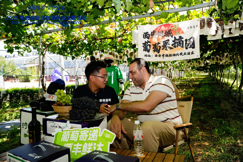 智慧“种”进葡萄园 驻华外交官品读乡村振兴“中国甜”_fororder_图片5