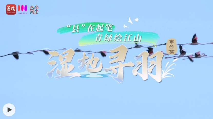 e2f5f432675fdfd8ace4b1d57b9f5c8f.png