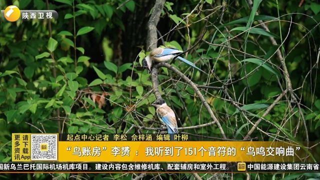 “鸟账房”李赟 ：我听到了151个音符的“鸟鸣交响曲”