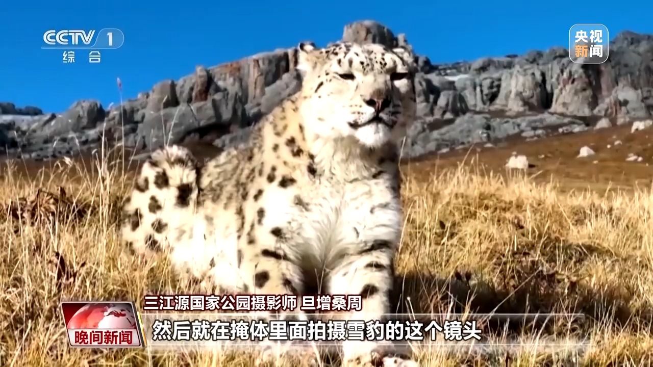 5d2ebc50ed78e0cdcc515669774cce6c.jpeg