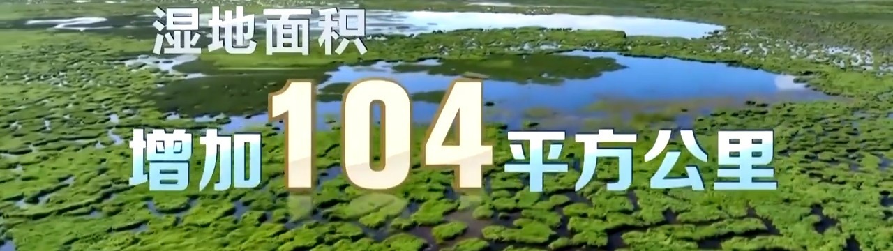 9ab8a1a7625d6f91b4ad9ebc675a7c7b.jpeg