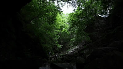 6a407aeb122c5fdf494598d4b268f949.gif